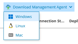 veeam_management_agent_company_2.png